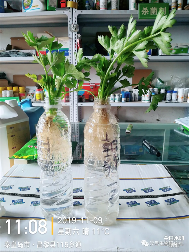 鶴壁市漢思生物技術(shù)有限公司
