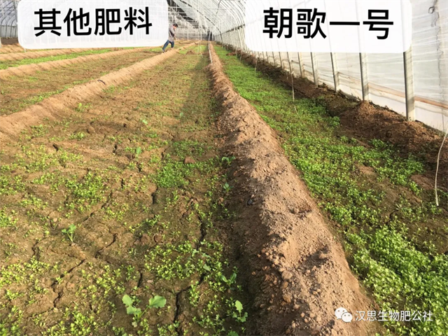 鶴壁市漢思生物技術(shù)有限公司