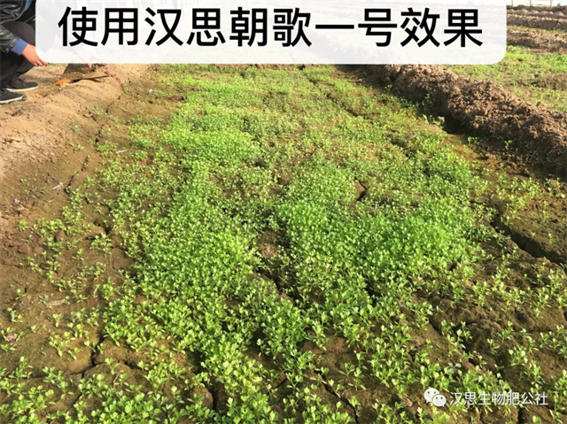 鶴壁市漢思生物技術(shù)有限公司