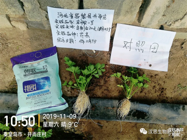 鶴壁市漢思生物技術(shù)有限公司