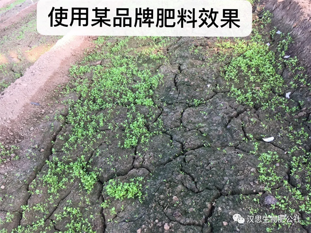鶴壁市漢思生物技術(shù)有限公司