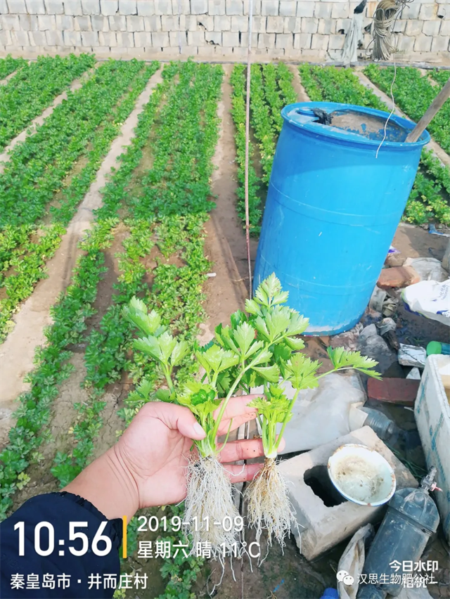 鶴壁市漢思生物技術(shù)有限公司